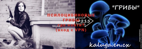 ГАЛЛЮЦИНОГЕННЫЕ ГРИБЫ Алексеевка