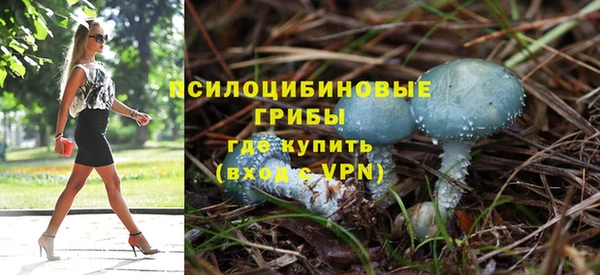 ГАЛЛЮЦИНОГЕННЫЕ ГРИБЫ Алексеевка