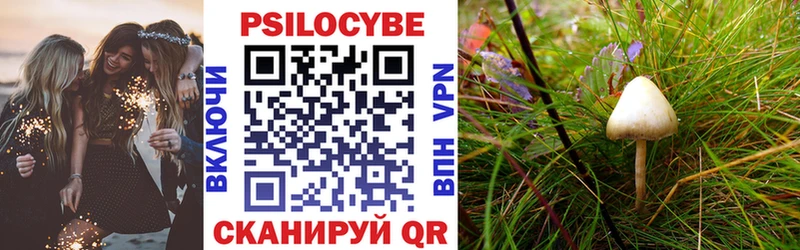 что такое   Олонец  Галлюциногенные грибы прущие грибы 